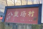 连云港一村收书4次被党纪政纪处分仍在职，镇纪委和当事人回应-中石化网上营业厅官网