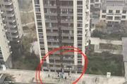 7岁孩子坠楼身亡！网友称事发时，其父正在拆修功课？-中石化加油卡网上营业厅官网