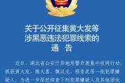 “武汉高启强”涉黑组织，被湖北公安机关打掉-中国石化加油卡充值