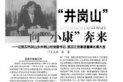 “武汉高启强”涉黑组织，被湖北公安机关打掉-中国石化加油卡充值
