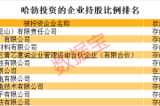 中石化充值卡怎么充值到加油卡-满是硬科技！华为参股的A股名单揭秘